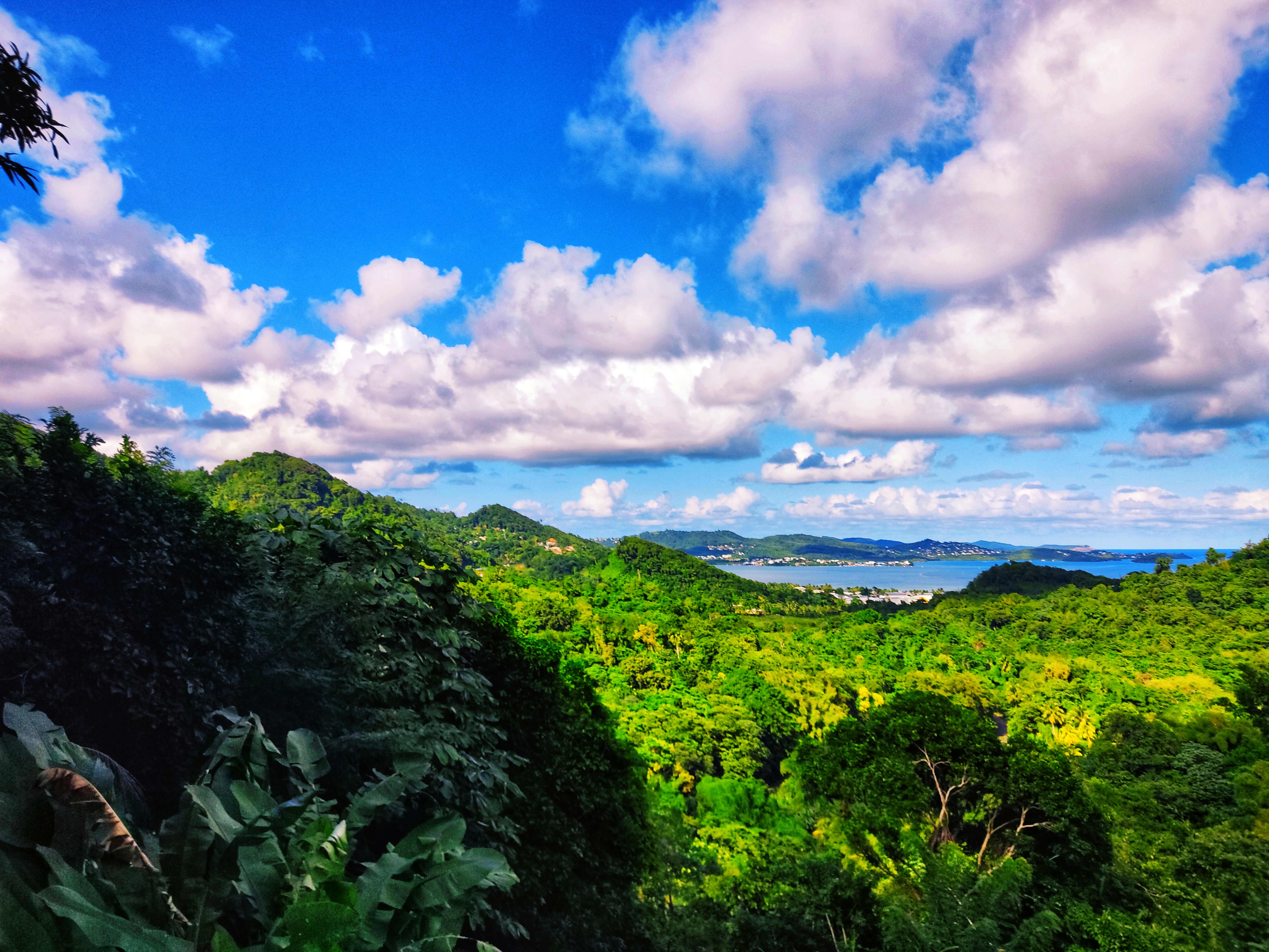 Vue sur la baie du Robert