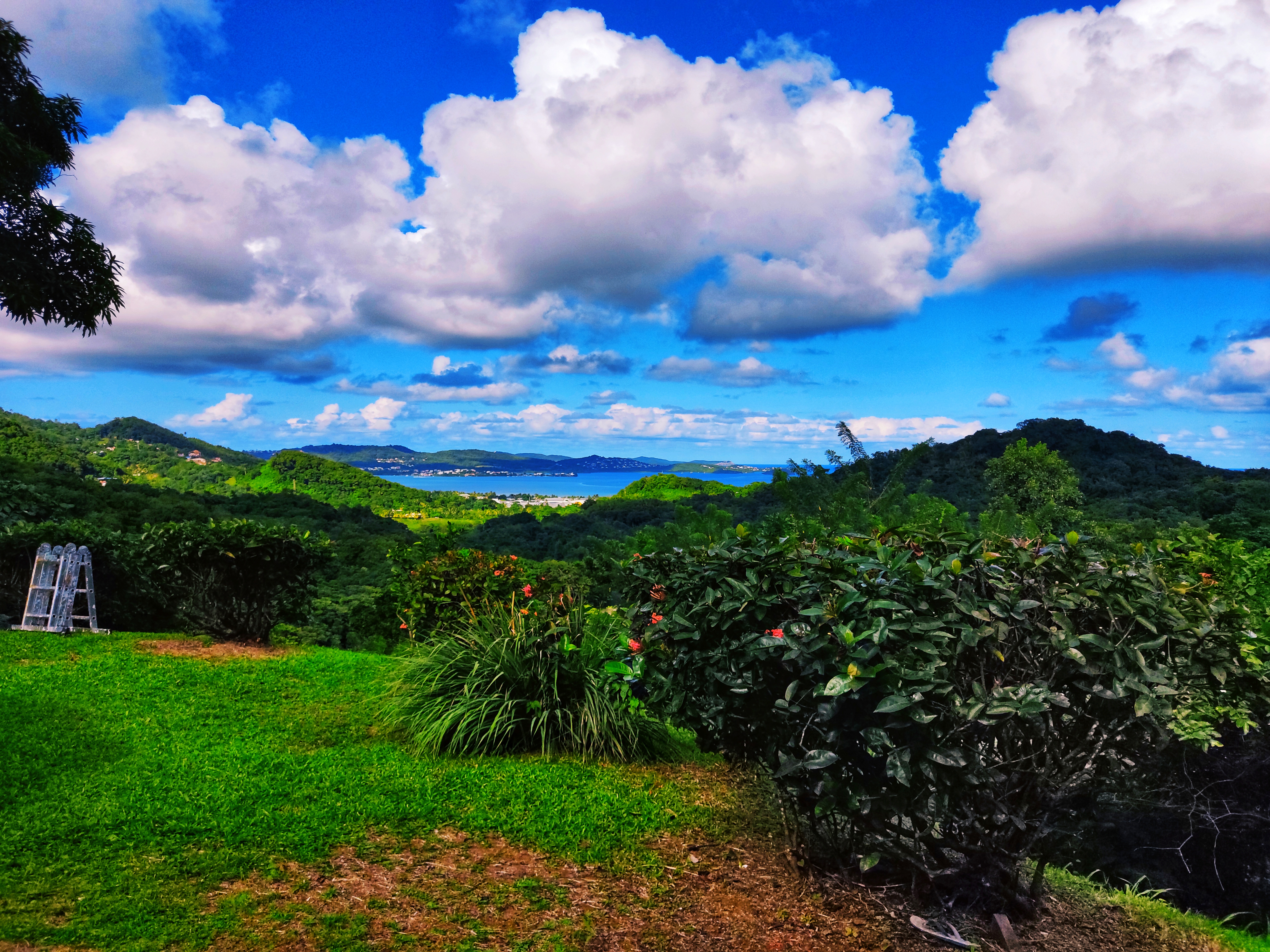 Vue panoramique événements